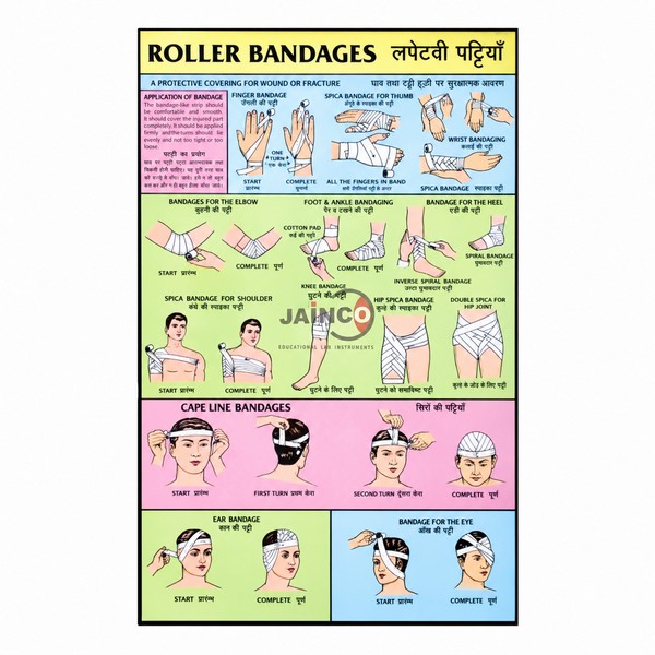 Roller Bandages Chart